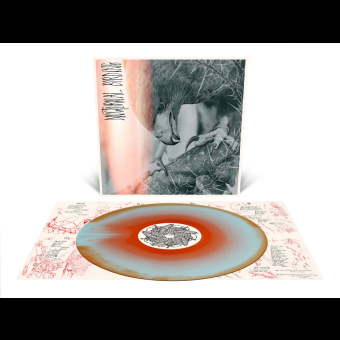 AUTHOR & PUNISHER Nocturnal Birding LP MERGE [VINYL 12"]